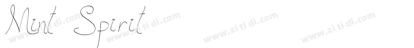 Mint Spirit字体转换